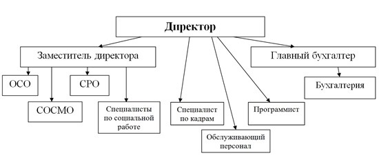 struktura 082024